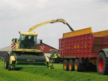 Frøblanding Nr. 34, 10 kg